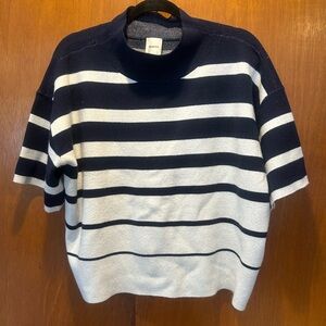 Maeve Navy and White Striped Turtleneck Sweater